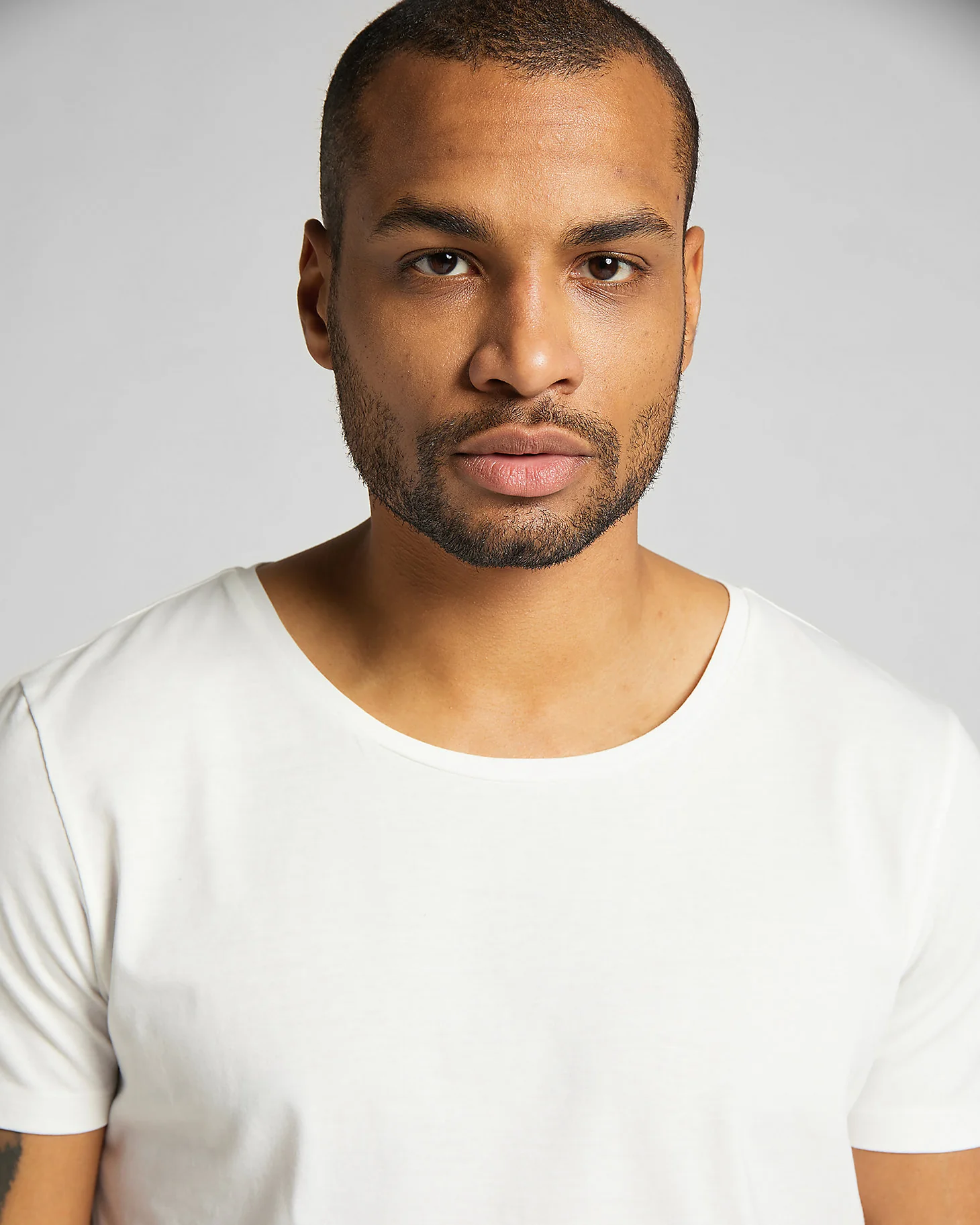 Lee Shaped Tee - Cloud Dancer - Image 3