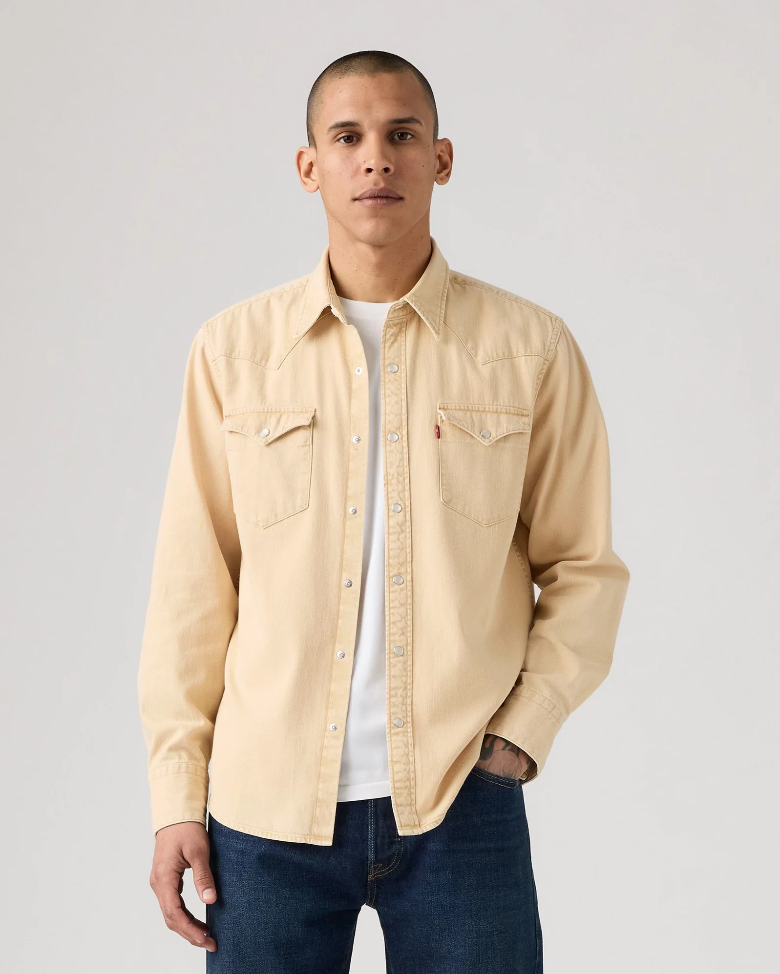 Levi's® Barstow Western Standard Shirt - Grass Is Green Khaki GD