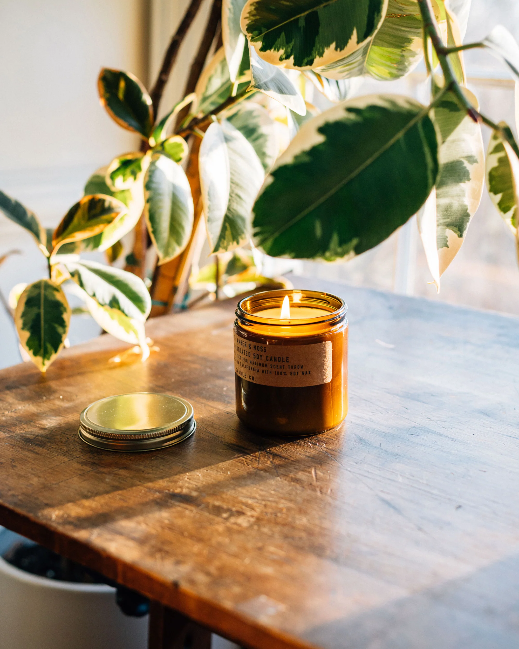 P.F. Candle Co. 12.5oz Large Concentrated Candle - Amber & Moss - Image 3