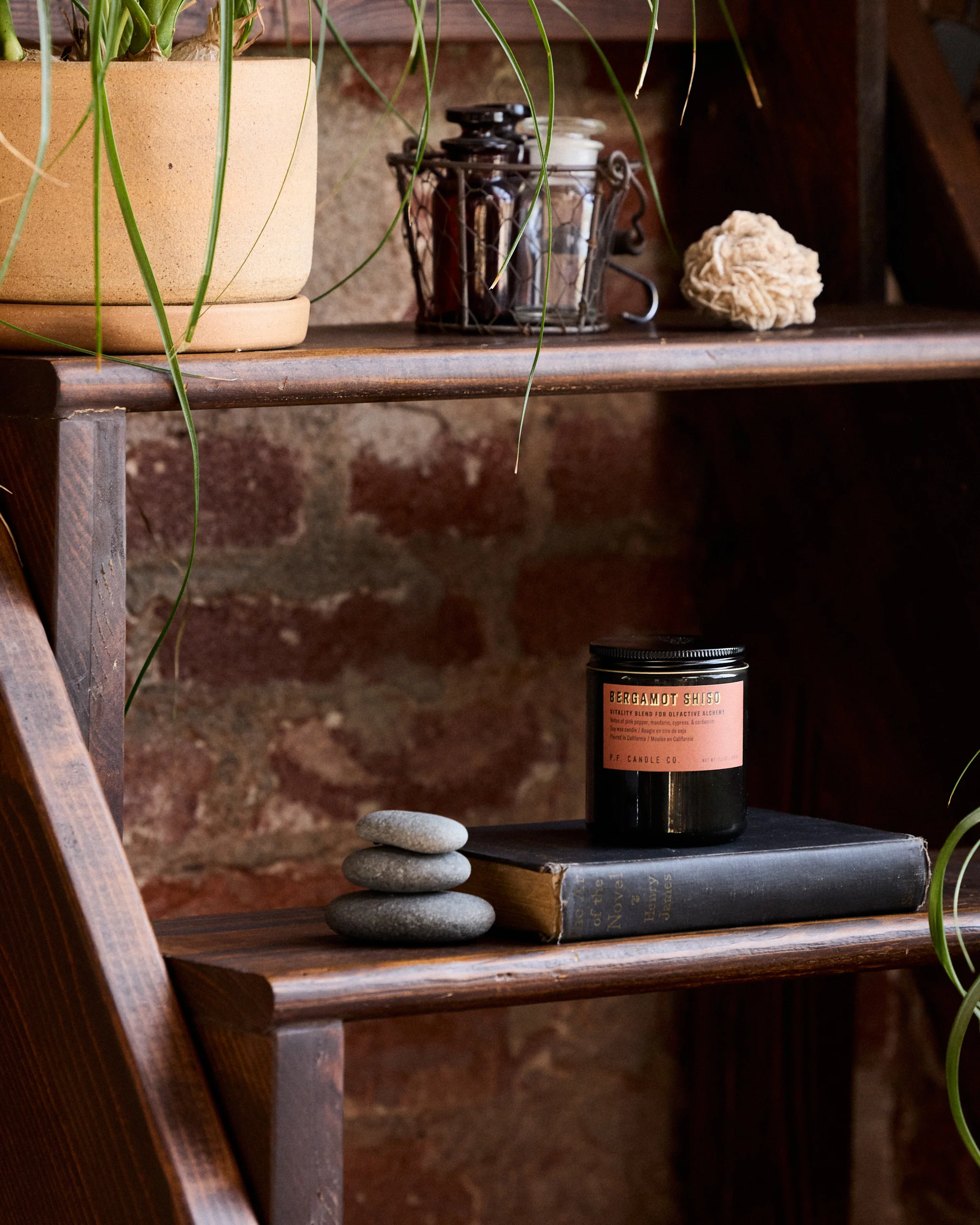 P.F. Candle Co. 7.2oz Alchemy Standard Jar Candle - Bergamot Shiso - Image 4