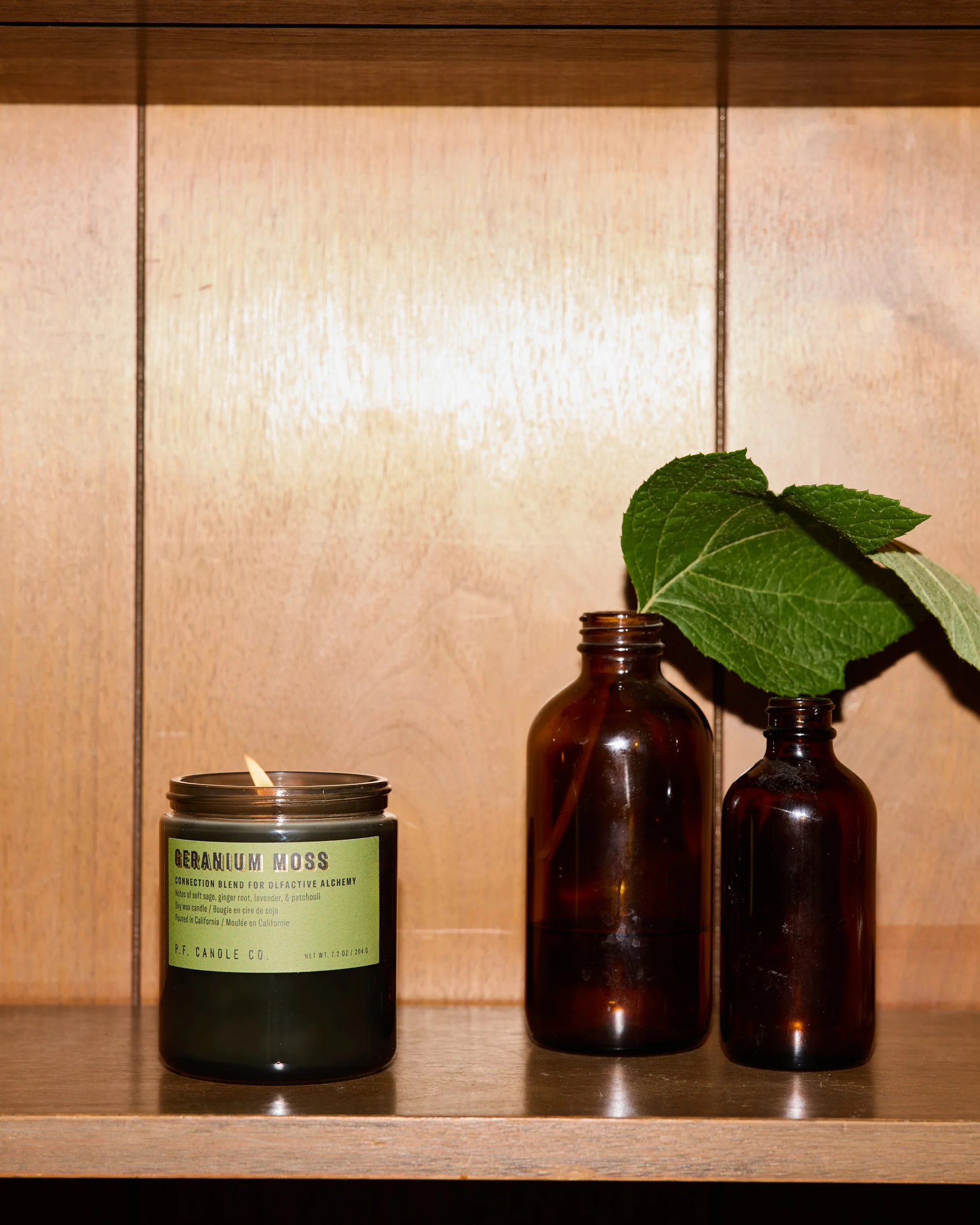 P.F. Candle Co. 7.2oz Alchemy Standard Jar Candle - Geranium Moss - Image 5