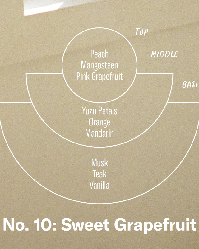 P.F. Candle Co. 7.2oz Standard Jar Candle - Sweet Grapefruit - Image 6