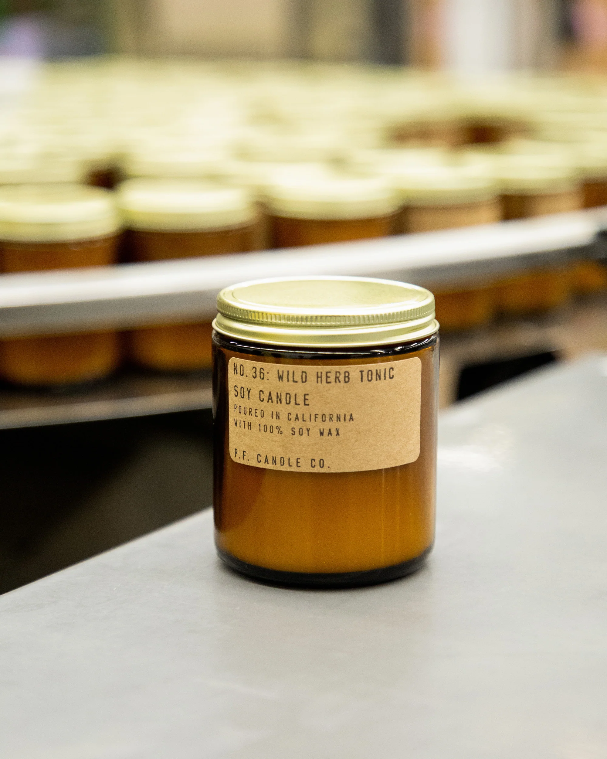 P.F. Candle Co. 7.2oz Standard Jar Candle - Wild Herb Tonic - Image 2