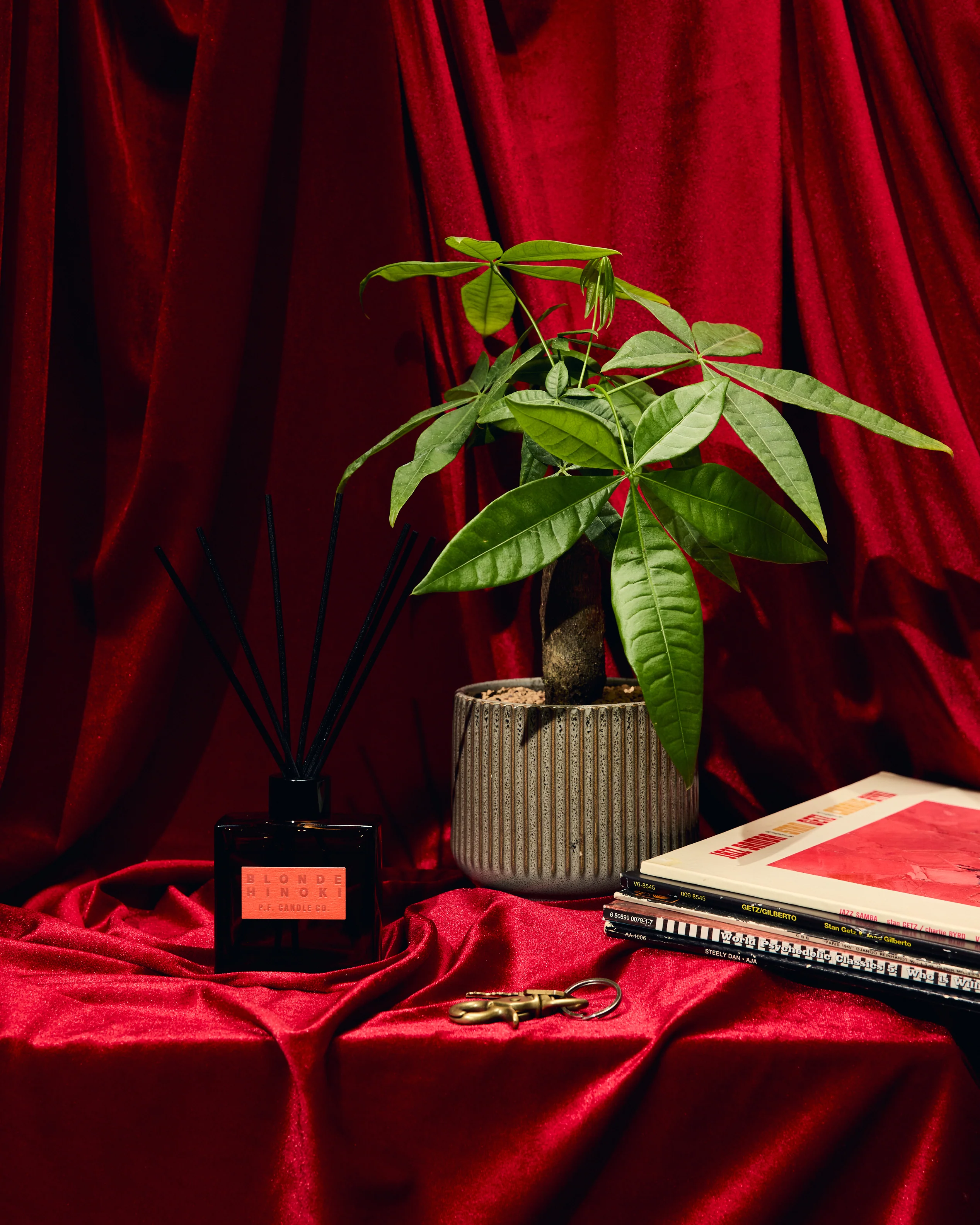 P.F. Candle Co. HI-FI Reed Diffuser - Blonde Hinoki - Image 4