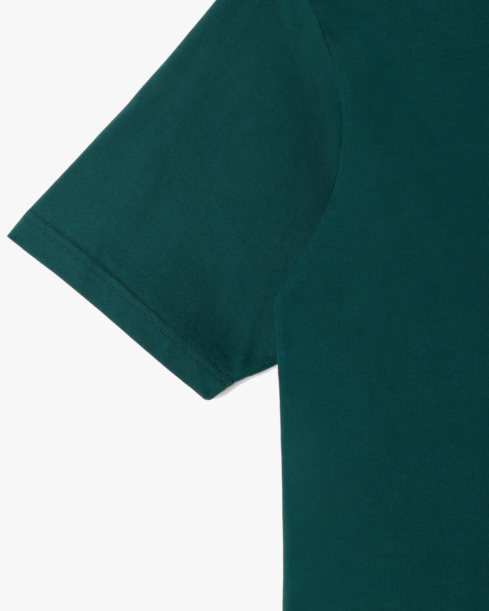 Stan Ray OG Tee - Botanical Green - Image 4